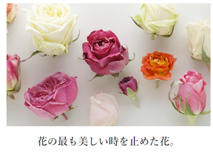 「花供養墓」に使用するアイスフラワーの紹介_株式会社テンマックの商品です_マーケティング支援会社の日本マーケティング・リテラシー協会（JMLA）は取次店をお引き受けしました。「花供養墓」は、これからの手元供養時代に向けて誕生した、おうちでの供養を考えて考案されたいつも花のある納骨仏壇です。